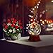 Rose Snow Globe Music Box, Preserved Red Rose Flower Musical Snow Globe LED Light Up Rose Snowglobe Water Globe Rose Gift for Women Girls, Romantic Gift for Mother's Day,Anniversary