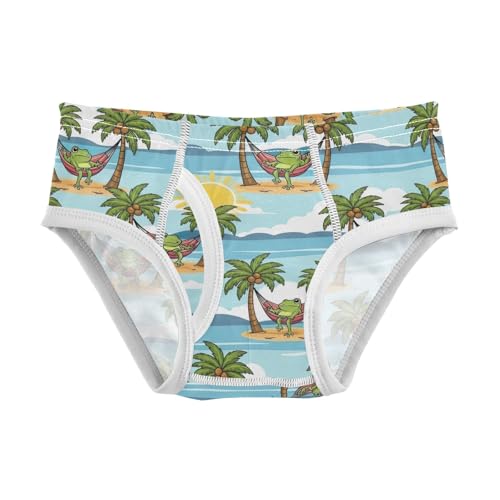 CHIFIGNO Boys' Briefs Cartoon Frog Palm Trees Toddler Boy Underwear Soft Cotton Underwear Briefs