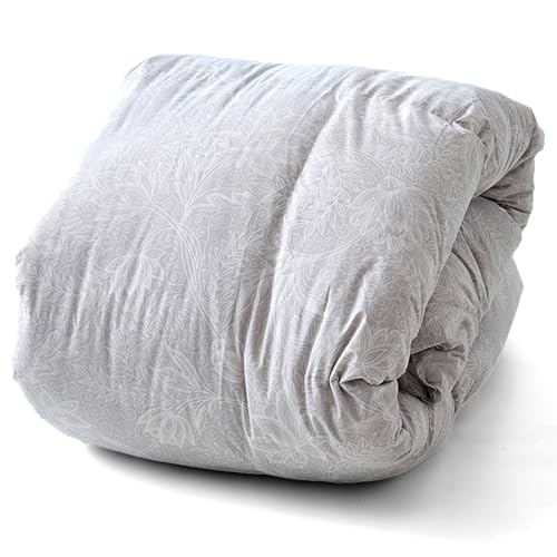 a Hѕzc VO ~p { `FRY zCgO[X _E90 1.1kg ̃Lg 2026N  EC25997 O[