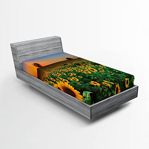 Ambesonne Sunflower 2 Pack Fitted Sheet, Flower Field at Sunset, Bed Cover All-Round Elastic Deep Pockets 2 Pieces, Package Contains 2 Twin XL Size Fitted Sheets, Green Yellow
