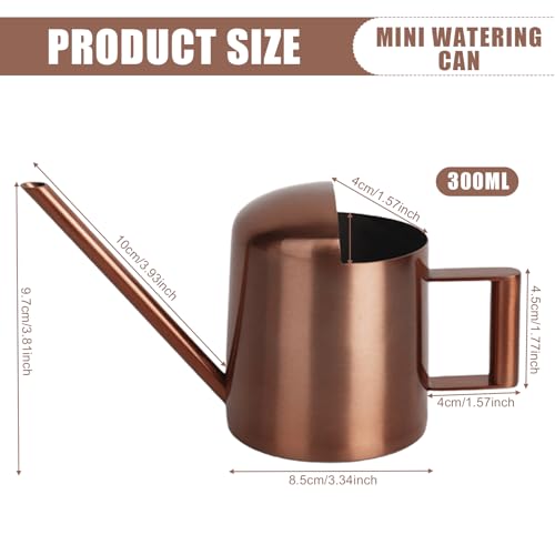 300ml Giesskanne Zimmerpflanzen, Edelstahl Langer Auslauf Giesskanne, Gießkanne Klein Balkonpflanzen Blumengießkanne, Garten Giesskanne Klein Für Innen Wohnung Home Büro Sukkulenten (Bronze)