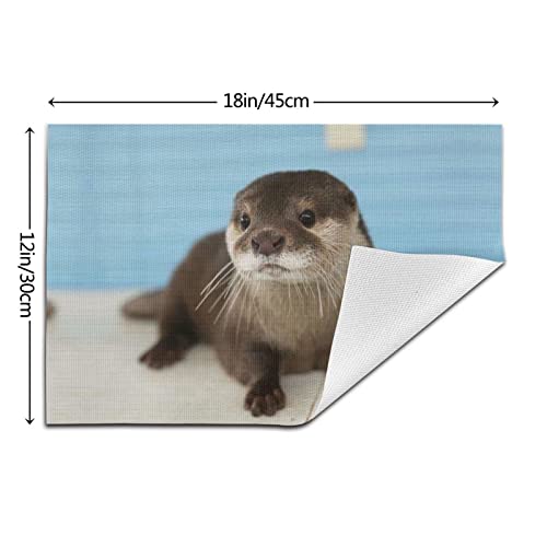 Cute Otter Pvc Placemat, Non-Slip Heat Resistant Table Mat, Washable Woven Vinyl Placemat, Suitable For Kitchen Table #TOP2