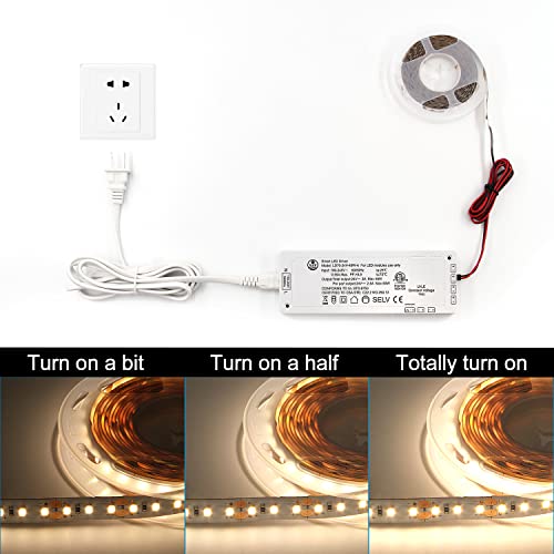 Image of VST 48W LED Power Supply, 100V-240V AC to 24V DC Constant Voltage Transformer with JST Ports, 24V Lighting Adapter for Under Cabinet & Strip Lights, ETL Listed, White