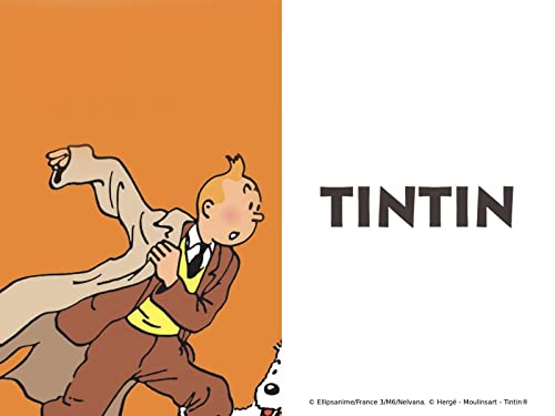 Les Aventures de Tintin