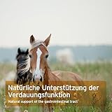 AniForte Flohsamen für Pferde 3kg - Reich an Ballaststoffen & Schleimstoffen, Indische Rohkost Qualität, Reinigung Magen-Darm-Trakt, Einzelfuttermittel