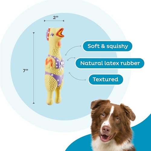 image for Outward Hound by Charming Pet Squawkers Henrietta Latex Squeaky Rubber