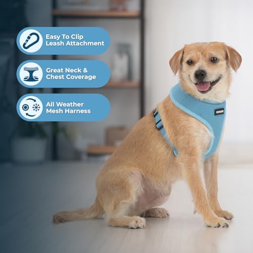 Image of Voyager Aerolite Over The Head Dog Harness, No Pull Breathable Air Mesh Vest, Quick Dry with Reflective Stitching, Adjustable Escape Resistant Harness for Small Medium Large Dogs - Blue, Medium