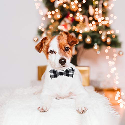 Malier 2 Pack Dog Collar with Bow tie, Cute Plaid Pattern Dog Collar with Bow tie and Durable Buckle Collar for Small… - Image 6