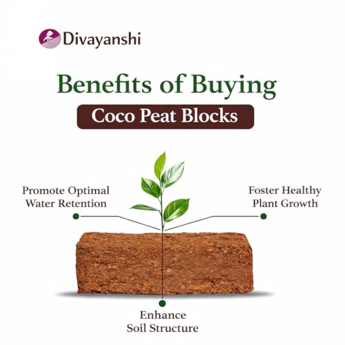 Image of Divayanshi Cocopeat Block for Plants & Gardening | 100% Natural Organic Growing Medium | High Water Retention Soil Conditioner for Home Garden, Nursery & Pots- 2kg