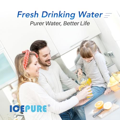 Image of ICEPURE 1 Micron 20 inch x 4.5 inch inch Carbon Filter Cartridge, Coconut Shell CTO Big Blue Filter, Whole House Carbon Block Replacement Cartridge with FC25B,CTO20BB, WHB20,EPM-20BB,155783-43,CB-BB-20 2 Pack