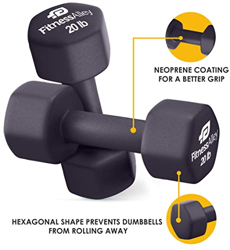 Fitness Alley Neoprene Coated 20Lb Workout Dumbbells Set Of 2 – Anti Roll, Non Slip With Smooth Grip Fitness & Exercise Dumbbells – Hexagon Shaped Hand Weights For Women & Men – Best Choice For Gyms & Home Use #TOP2