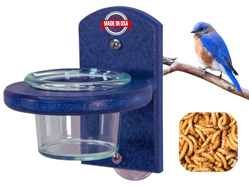 JCs Wildlife Window Bluebird Mealworm Feeder w/Removable Jar