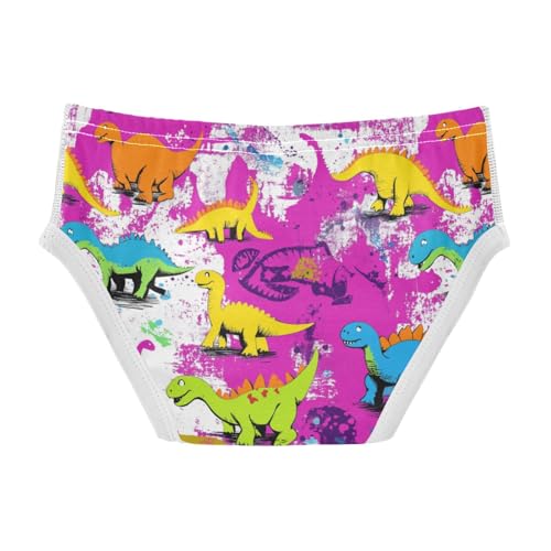 Wusikd Colorful Dinos Boys' Underwear Cotton Cute Boys Briefs Soft Toddler Underwear 2T2
