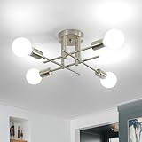 💡 Applicazioni: Questa lampada da soffitto vintage in stile Edison conferisce un'aria di eleganza e romanticismo alla vostra stanza. Perfetta per camere da letto, soggiorni, cucine, sale da pranzo, ingressi, corridoi, soffitte, caffè, hotel e qualsiasi altro spazio
