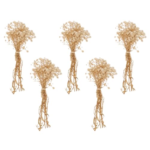 Ramo de flores secas Gypsophila natural 5 piezas miniatura 1