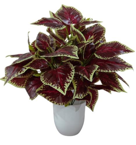 Image of Natural Looking Artificial Money Plant /Tree with Pot | Ornamental Plant for Interior Decor | Home /Shop /Office Decor (Maroon)