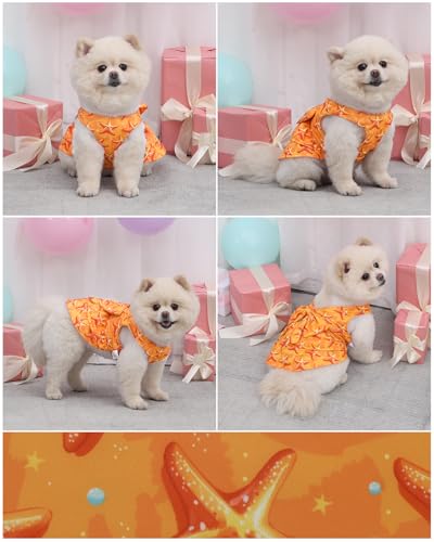 Image of CuteBone UPF50+ Dog Dresses for Small Dogs, Summer Sleeveless Deep V-Back Pet Dress with Big Bow, Breathable Swimwear Fabric, Cooling Stretchy Puppy Clothes for Outdoor Wedding Party Beach DV07S