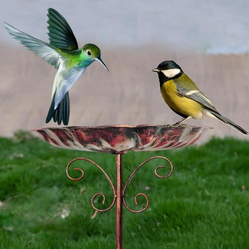 Bain d'oiseaux décoratif résistant au vent abreuvoir stable pour jardin