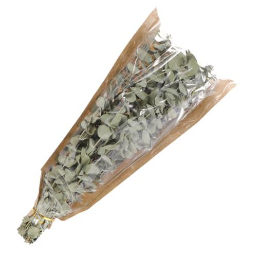 Ramo aromático de lavanda y eucalipto seco Toyvian miniatura 1