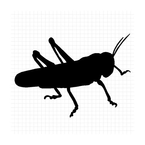 gmT}ob^ VGbg XebJ[ (^bNFVo[, Fc 8cm×8cm  2Zbg)