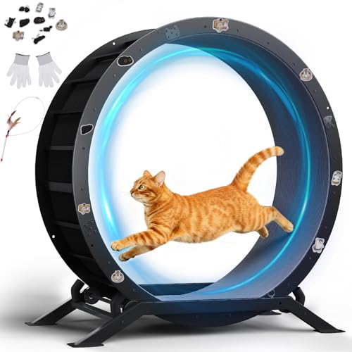 Image of GTPLAYER Cat Wheels, Large Cat Exercise Wheel for Indoor Cats, 40 inchDiameter cat treadmill Detachable Carpet & Teaser, stickers, Ultra-quiet scroll wheel With latch, Suitable for Most Cats, Metal, Gray