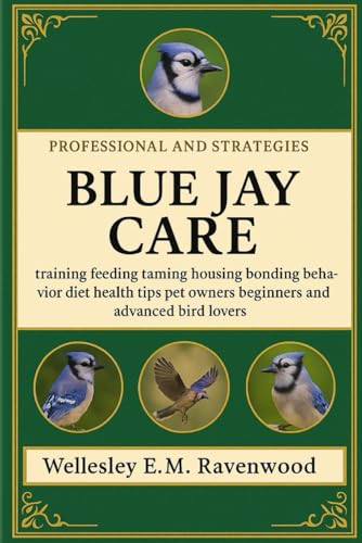 Blue Jay: training feeding taming housing bonding behavior diet health tips pet owners beginners and advanced bird lovers