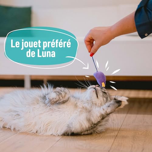 Aimé | Lot de 7 Jouets pour Chat Intérieur et Extérieur | Jeux Variés et Amusants | Facile à Ranger et à Transporter | Convient à Tous les Chats – Image 4