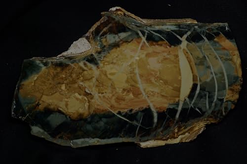 鉱物 奇妙な石 (マーティントム)