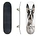 Skateboards Close up of a French Bulldog Looking at The Camera Isolated on White 1 Classic Concave Skateboard Cool Stuff Teen Gifts Longboard Extreme Sports for Beginners and Professionals