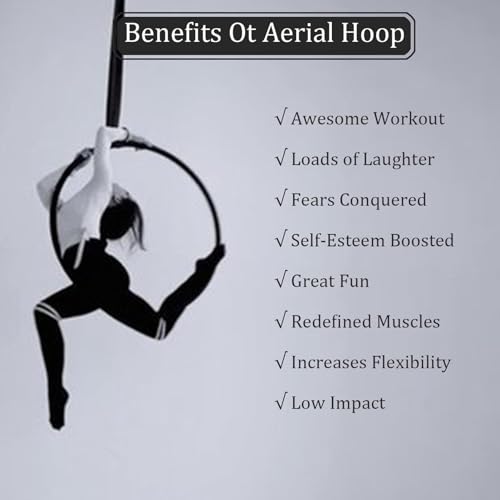 Anilla Aérea Yoga Acrobacia 90 cm Acero Inoxidable miniatura 2