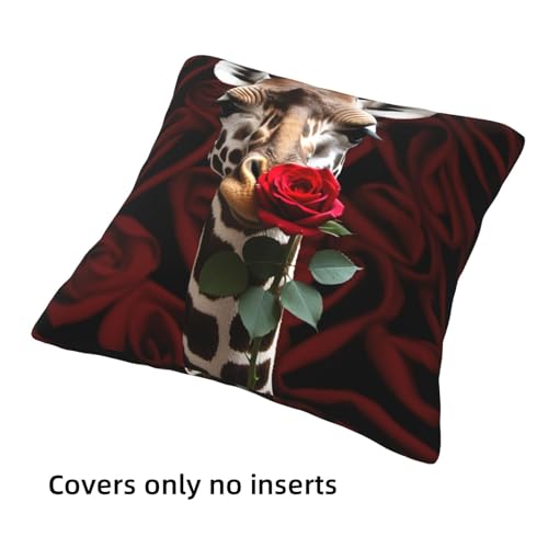 Housses de coussin de qualité supérieure au design rustique chic 50x50cm