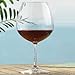 Indoor/Outdoor Pinot Noir Wine Glasses, Set of 8