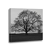 Ansouyi 16x16 Inches Canvas...