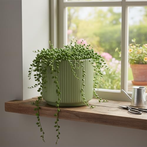 Image of Xtore Verdantique Ceramic Ribbed Planter | Soft-Tone Desk & Shelf Plant Pot for Home and Office - (Green, 1 Piece, Planter ONLY)