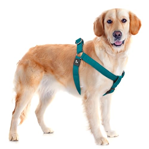 Kruz Original Heavy-Duty No Pull Dog Harness – Ultra Comfort, Lifetime Durability, Pet Harness for Small and Medium Dog Breeds (Turquoise, Medium) Kruz Original Heavy-Duty No Pull Dog Harness – Ultra Comfort, Lifetime Durability, Pet Harness for Small and Medium Dog Breeds (Turquoise, Medium)