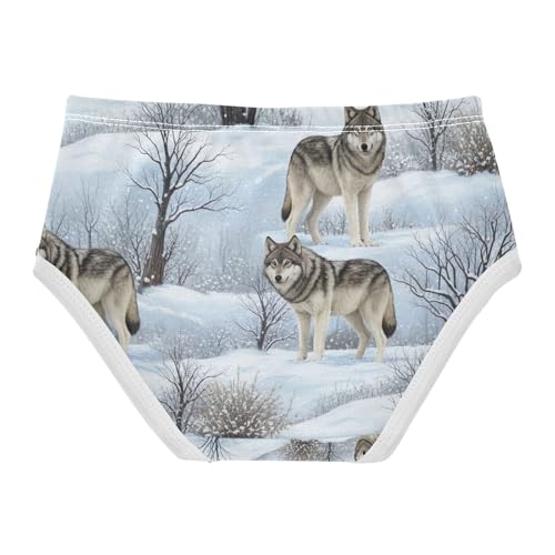 Toddler Panties, Cool Wolf Girls' Cotton Brief Underwear, 2–8 Years2