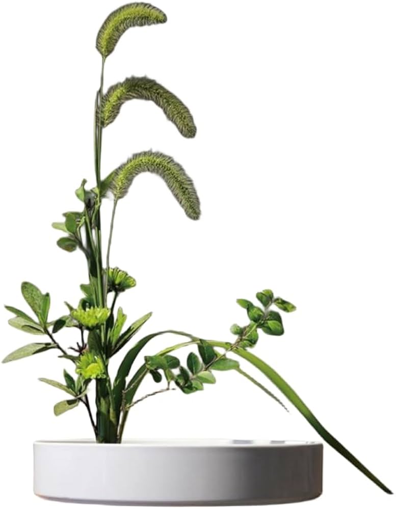 Amazon.co.jp: 花器 水盤 花瓶 盆栽鉢 プラスチック製 生け花用