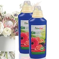floraline® | Schnittblumen Frisch | deutlich längere Frische für Blumen Sträuße | Blüten in voller Pracht | 2x 500ml