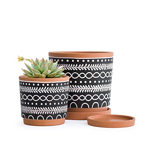 D'vine Dev Set of 2 Terracotta Pots, 4 Inch & 6 Inch, Planter Pots for Plants with Drainage Holes and Saucers, Terracotta/Black, 31-958-D-2
