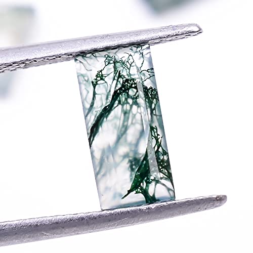 4Pcs, 10X5X3Mm Natural Moss Agate Long Rectangle Shape-Flat Step Cut Gemstone Wholesale Lot, Jewelry Making Loose Gemstone, Polished Minerals, Diy, Wire Wrapping, Healing Crystals, Bulk Gemstone Deal #TOP1