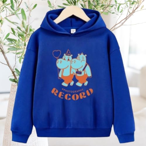 Image of Hoodies Sweatshirts for Boys & Girls