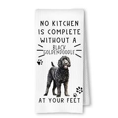 Black Goldendoodle at Your Feet