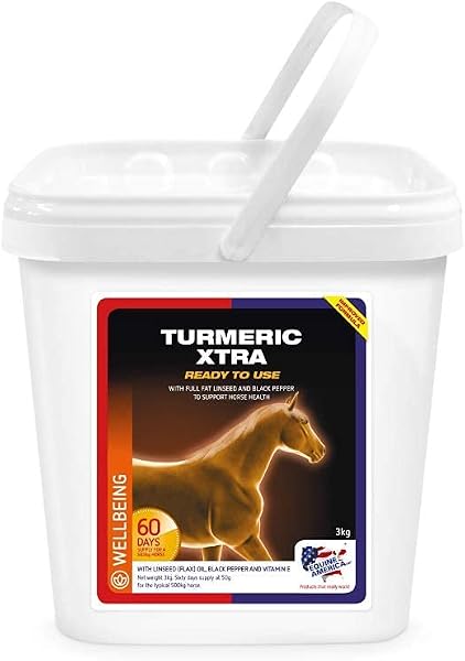 Equine America Turmeric Xtra 3KG - 1