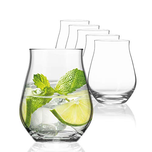 Sahm Sensorik Gin Gläser Set 6 Stück - 420ml Sensorik Gin Tonic Gläser -...