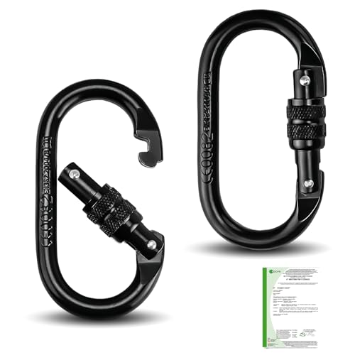 MYLERCT 25KN Karabiner Groß,2 Stück Karabinerhaken Groß, Sicherheitszertifiziert – Kletterkarabiner,Karabinerhaken Schwarz Tragfähigkeit 2500 kg für Bergsteigen Seilabseilen Hängematten Camping