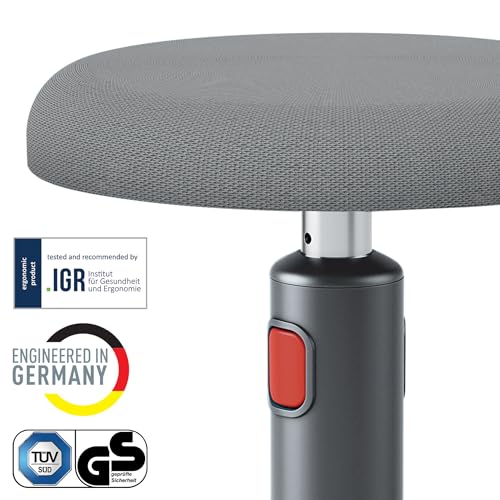 Image of Leitz Ergo Cosy Active Padded seat