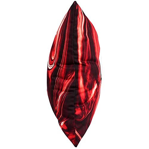 Image of College Covers Wisconsin Badgers 2 Sided Color Swept Decorative Pillow, 16 inch, Made in The USA