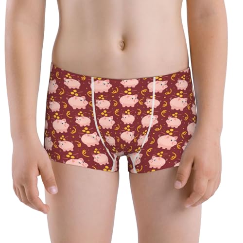 Boys' Cotton Boxer Brief Soft Underwear-Cute Pig With Coins
