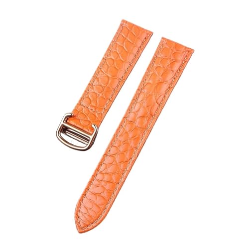 [HUFHDN] JeBG h \ Y fB[X U[EHb`Xgbv 22mm NR_CU[EHb`Xgbvƌ݊(Orange rose,22)