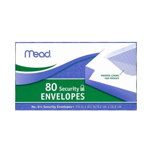 ENVELOPES 6 3/4 BOXED SECURITY